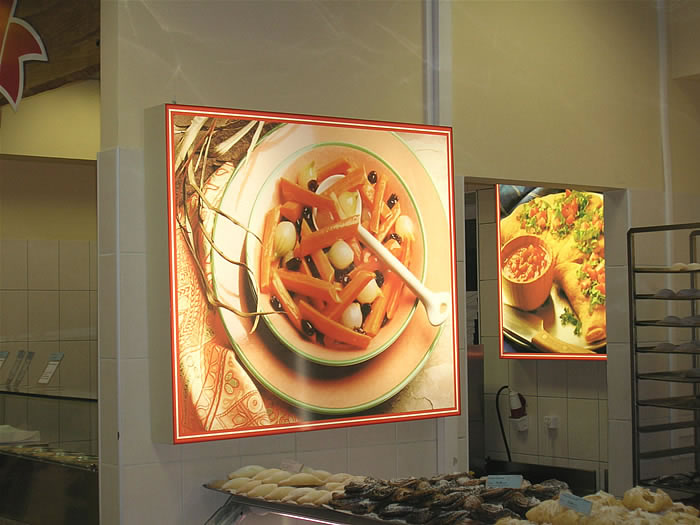 Файл:Холидей (Сибирский неон).jpg