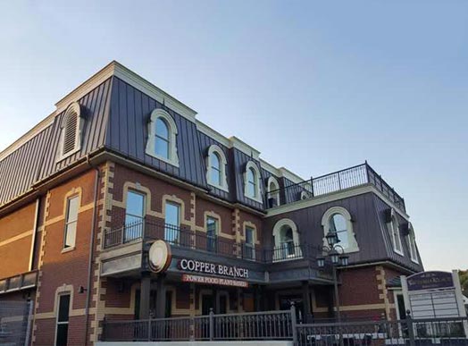 Файл:Copper Branch 4.jpg