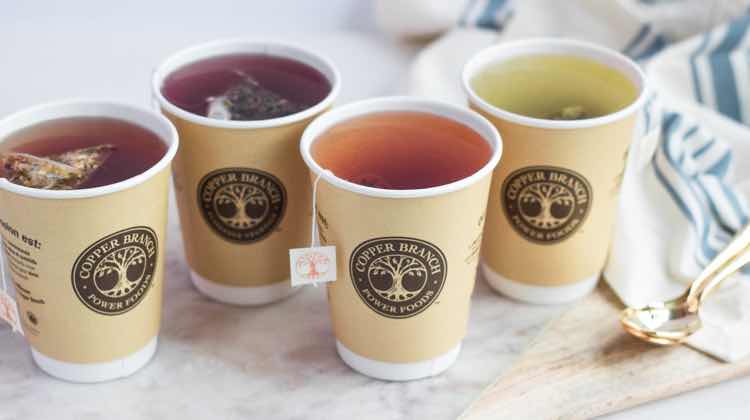 Файл:Copper Branch 2.jpg