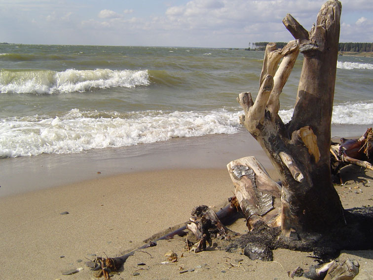 Файл:Обское водохранилище.jpg