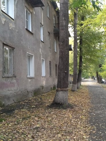 Файл:Мира 38.jpg