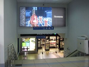 Толмачёво 6 (Сибирский неон).jpg