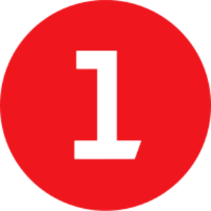Metro Line 1.svg
