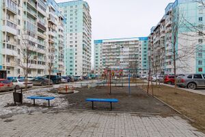 Татьяны Снежиной 31 (1).jpg