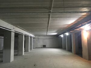 Венская 23 цоколь.jpg