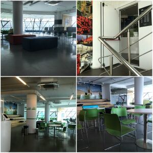 Красный проспект 17-1 (4 этаж).jpg