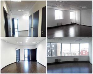 Кобра офис 6EF.jpg