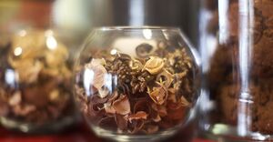 Бодрый День 40.jpg