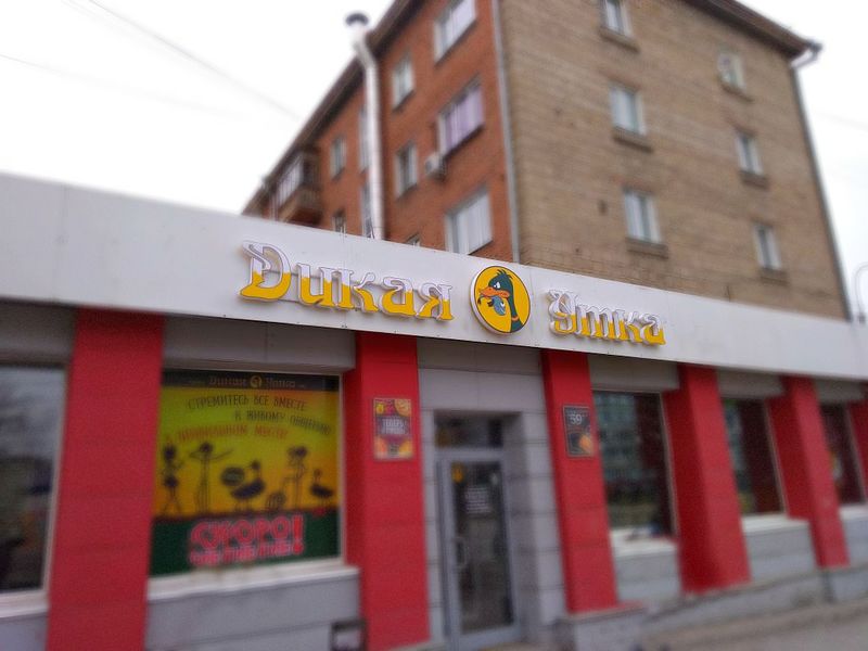 Файл:Дикая Утка Проспект Карла Маркса 29 (Сибирский неон).jpg