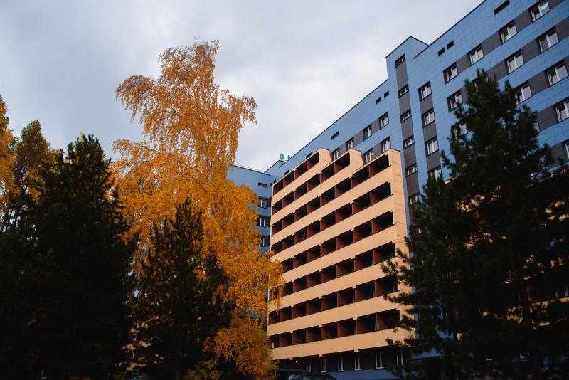 Файл:НГУ общежития.jpg