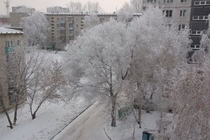 Доватора 17 (1).jpg