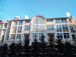 Красный проспект 56а.jpg