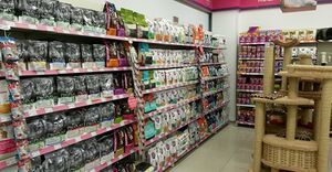 Бетховен 2.jpg