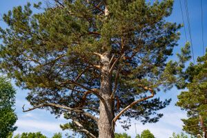 Шатурская 5 (5).jpg