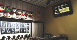 Разливнович 2.jpg