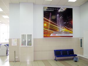 Толмачёво 5 (Сибирский неон).jpg