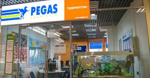 PEGAS Touristik 3.jpg