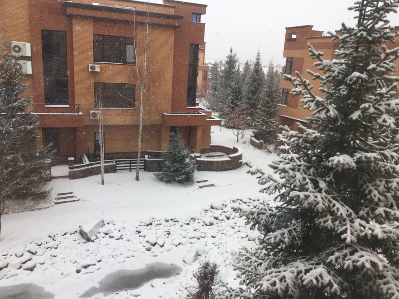 Файл:Кедровая 39-1.jpg