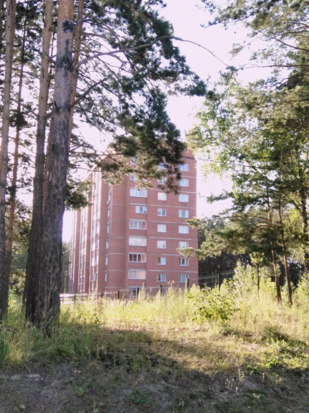 Файл:Зелёная 1.jpg