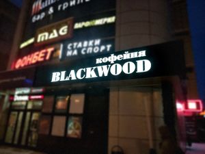 BLACKWOOD Красный проспект (Сибирский неон).jpg