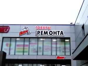 Енот (Сибирский неон).jpg