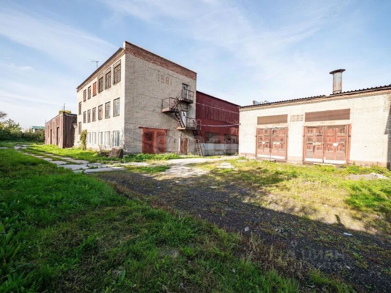 Файл:116474526 3.jpg