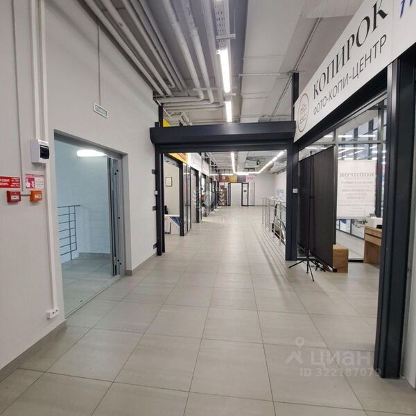 Файл:Фламинго 15 5.jpg