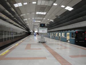 Берёзовая роща.jpg