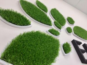 Ельцовский парк (2) (Сибирский неон).jpg