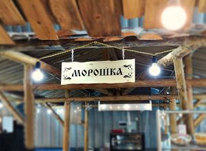 Морошка (Сибирский неон).jpg