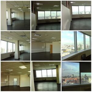 Кобра офис 17B.jpg