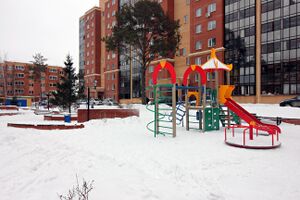 Стрижи микрорайон 4 (9).jpg