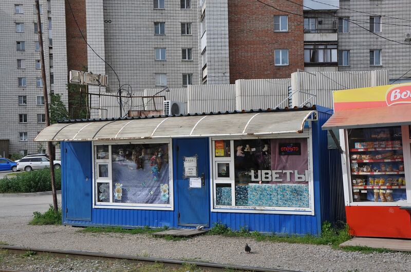 Файл:Котовского 10 к1 цветы.jpg