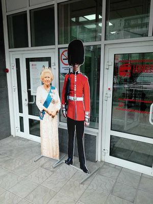 Лондон Экспресс Дуси Ковальчук 250 (Сибирский неон).jpg