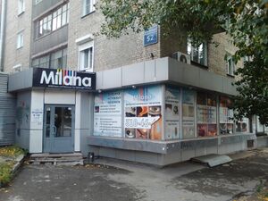 Челюскинцев 52 (Milana).jpg