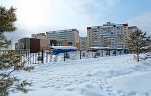 Татьяны Снежиной 45 (1).jpg