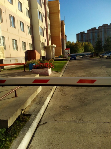 Файл:Тюленина 23.jpg