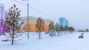 Просторный (3).jpg