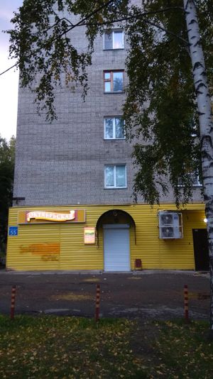 Сибиряков-Гвардейцев 55.jpg