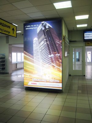 Толмачёво 7 (Сибирский неон).jpg