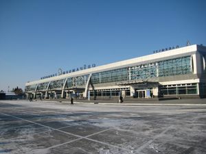 Толмачёво (Сибирский неон).jpg