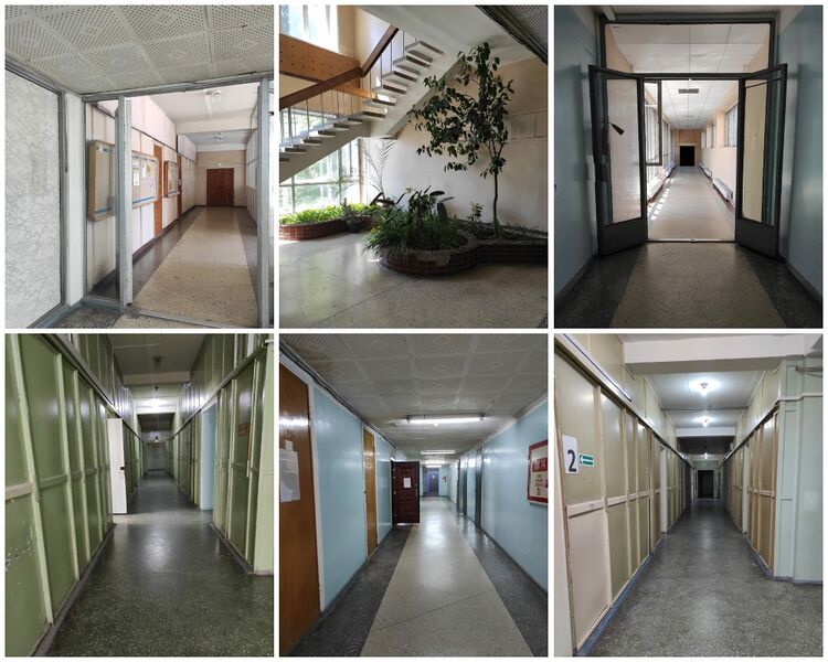 Файл:73750650 2.jpg