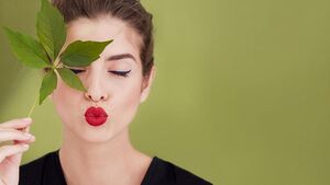 МЕГА Yves Rocher.jpg