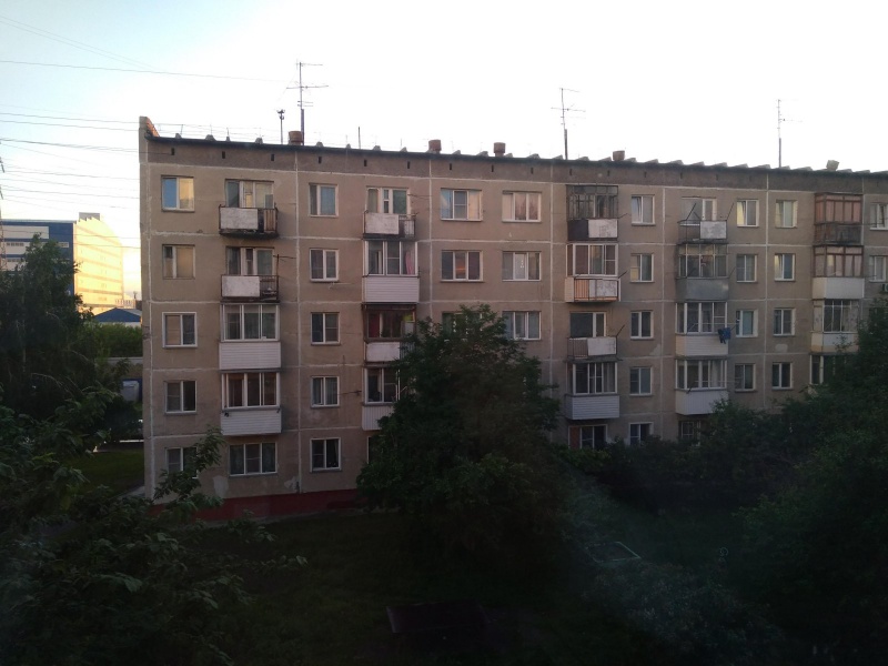 Файл:Палласа 8.jpg