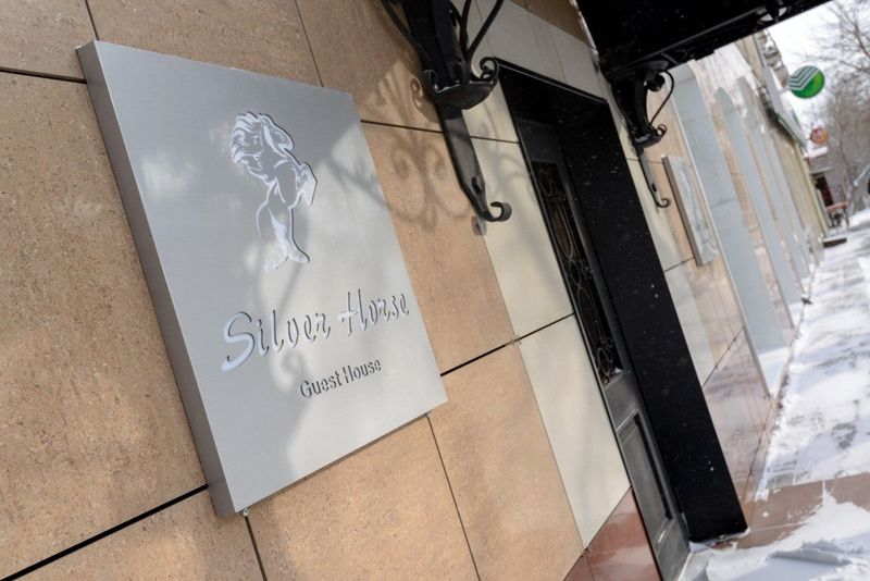 Файл:Владимировская 4 (Silver Horse).jpg