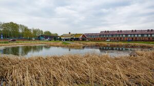 Пригородный простор (5).jpg