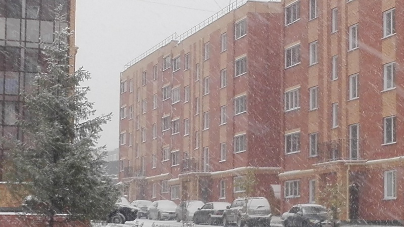 Файл:Стрижи микрорайон 3.jpg