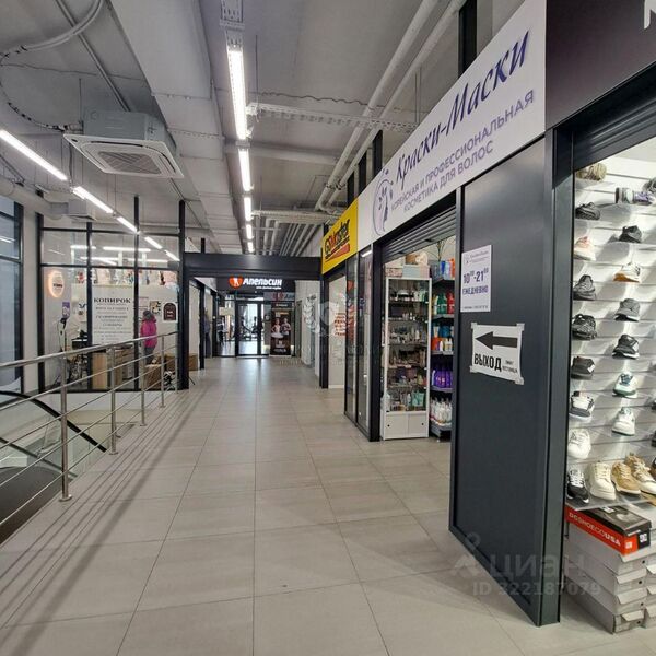 Файл:Фламинго 15 4.jpg