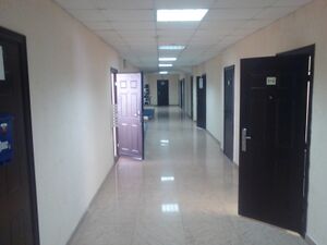 Красный проспект 17 (5 этаж).jpg