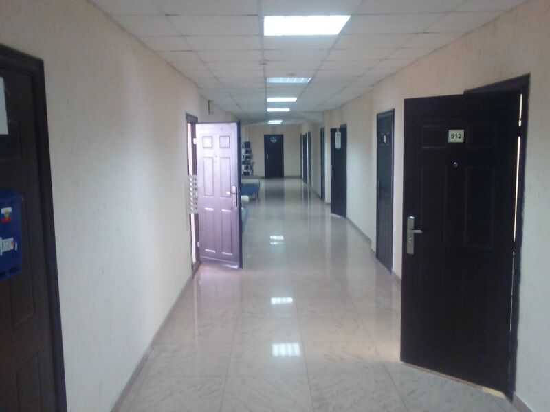 Файл:Красный проспект 17 (5 этаж).jpg